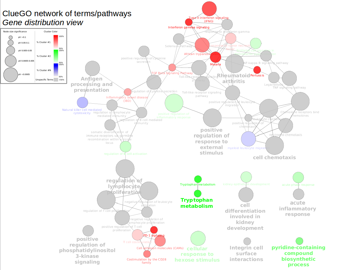 cytoscape network analysis